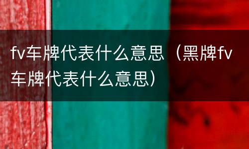 fv车牌代表什么意思（黑牌fv车牌代表什么意思）
