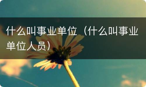 什么叫事业单位（什么叫事业单位人员）