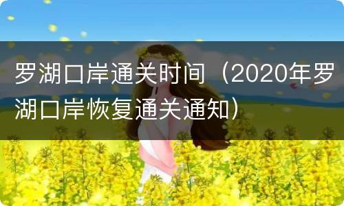 罗湖口岸通关时间（2020年罗湖口岸恢复通关通知）
