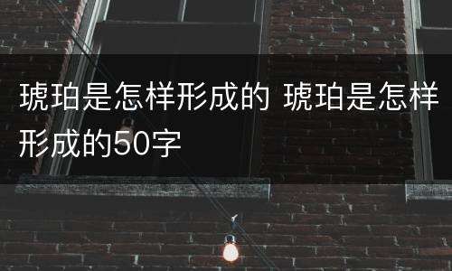 琥珀是怎样形成的 琥珀是怎样形成的50字
