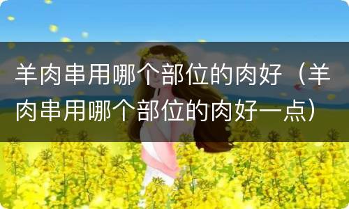 羊肉串用哪个部位的肉好（羊肉串用哪个部位的肉好一点）
