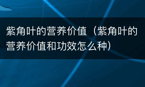 紫角叶的营养价值（紫角叶的营养价值和功效怎么种）