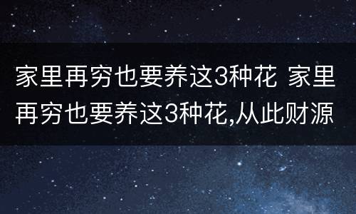 家里再穷也要养这3种花 家里再穷也要养这3种花,从此财源广进!