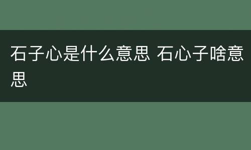 石子心是什么意思 石心子啥意思