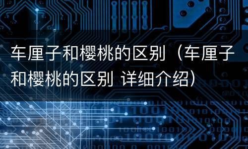 车厘子和樱桃的区别（车厘子和樱桃的区别 详细介绍）