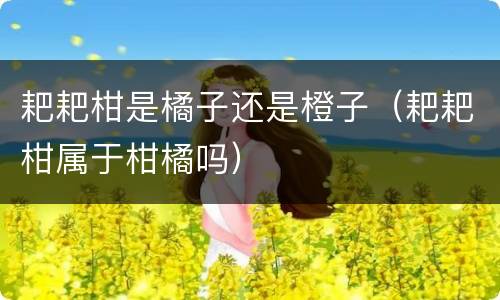 耙耙柑是橘子还是橙子（耙耙柑属于柑橘吗）