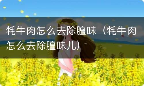 牦牛肉怎么去除膻味（牦牛肉怎么去除膻味儿）