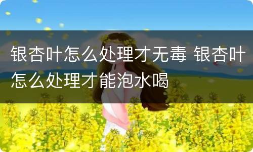 银杏叶怎么处理才无毒 银杏叶怎么处理才能泡水喝