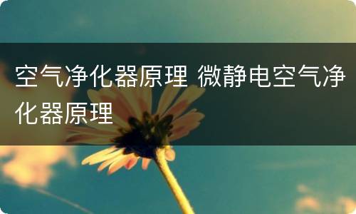 空气净化器原理 微静电空气净化器原理