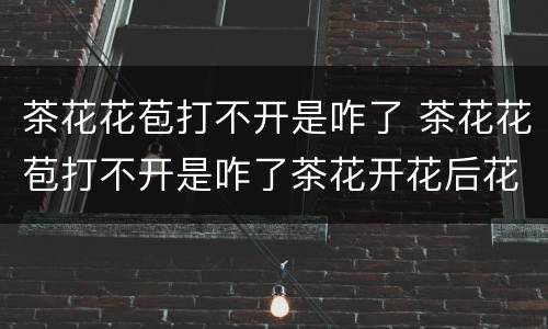 茶花花苞打不开是咋了 茶花花苞打不开是咋了茶花开花后花朵发焉