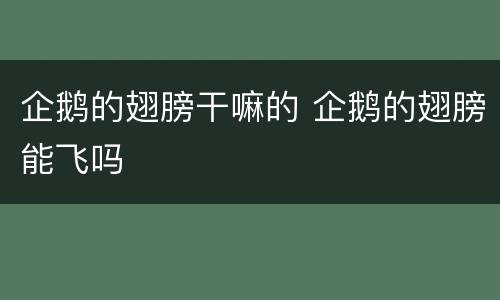 企鹅的翅膀干嘛的 企鹅的翅膀能飞吗
