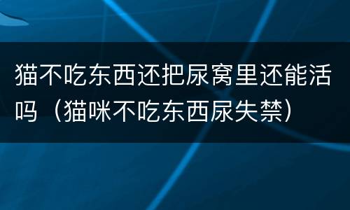 猫不吃东西还把尿窝里还能活吗（猫咪不吃东西尿失禁）