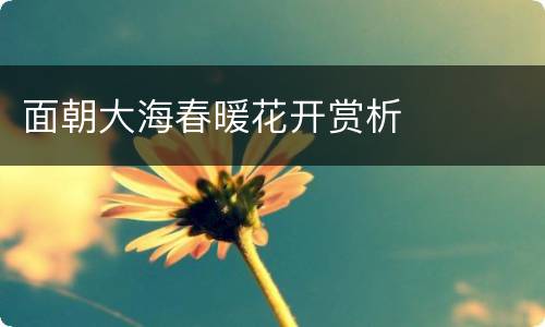 面朝大海春暖花开赏析