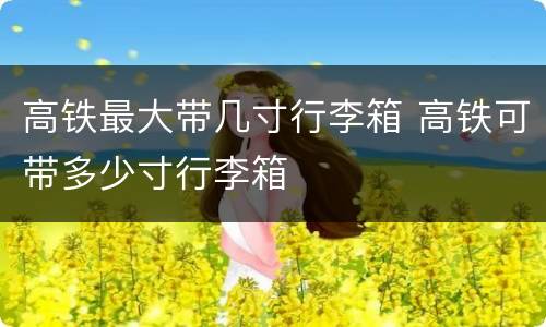 高铁最大带几寸行李箱 高铁可带多少寸行李箱