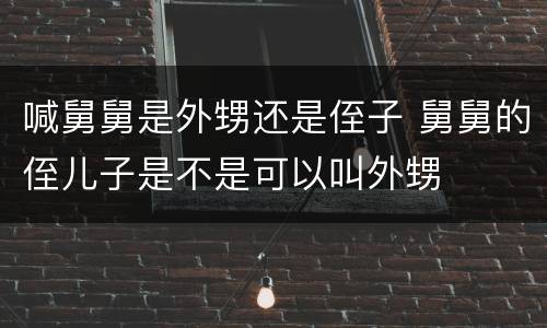 喊舅舅是外甥还是侄子 舅舅的侄儿子是不是可以叫外甥