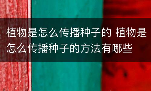 植物是怎么传播种子的 植物是怎么传播种子的方法有哪些