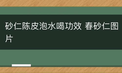 砂仁陈皮泡水喝功效 春砂仁图片