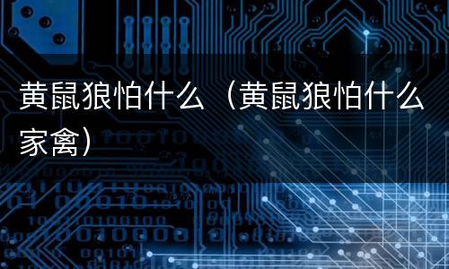 黄鼠狼怕什么（黄鼠狼怕什么家禽）