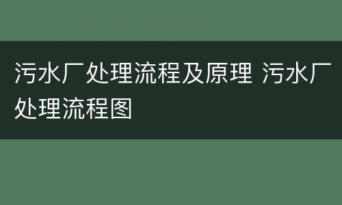 污水厂处理流程及原理 污水厂处理流程图