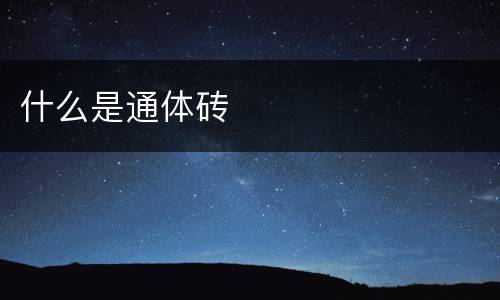 什么是通体砖