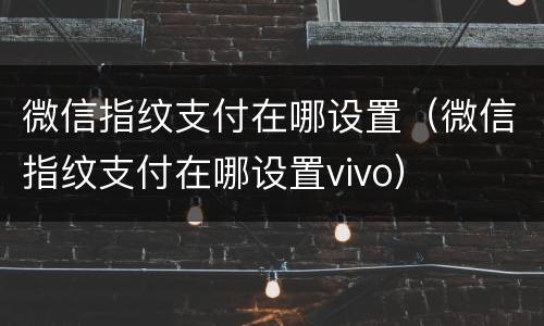 微信指纹支付在哪设置（微信指纹支付在哪设置vivo）
