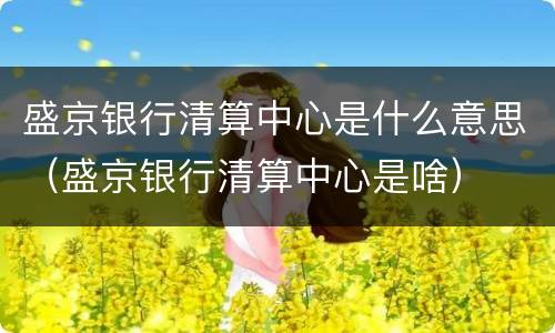 盛京银行清算中心是什么意思（盛京银行清算中心是啥）