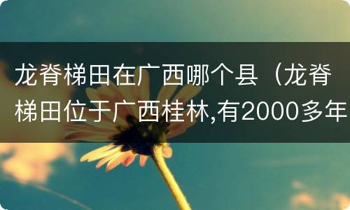 龙脊梯田在广西哪个县（龙脊梯田位于广西桂林,有2000多年的开垦历史）