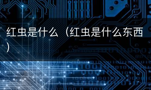 红虫是什么（红虫是什么东西）