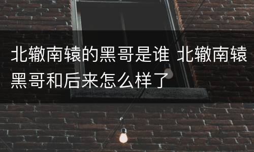 北辙南辕的黑哥是谁 北辙南辕黑哥和后来怎么样了
