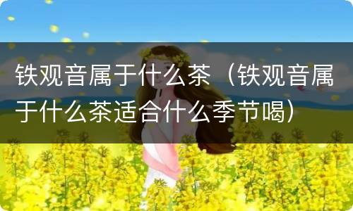 铁观音属于什么茶（铁观音属于什么茶适合什么季节喝）