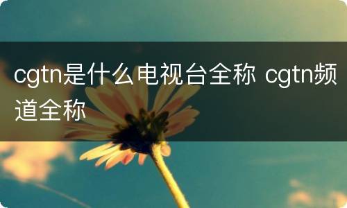 cgtn是什么电视台全称 cgtn频道全称
