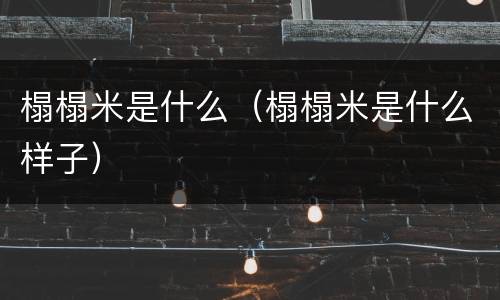 榻榻米是什么（榻榻米是什么样子）