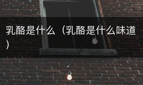 乳酪是什么（乳酪是什么味道）