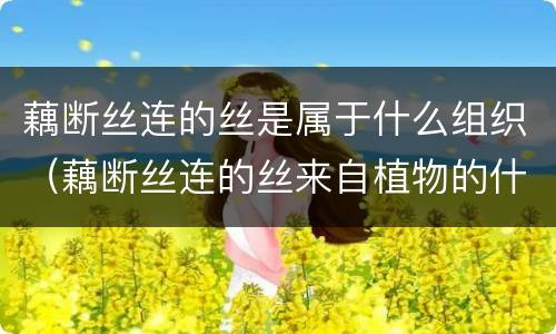 藕断丝连的丝是属于什么组织（藕断丝连的丝来自植物的什么组织）