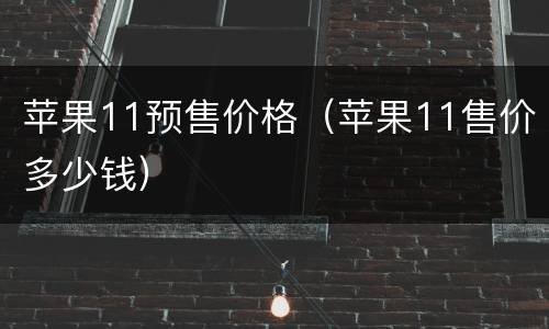 苹果11预售价格（苹果11售价多少钱）