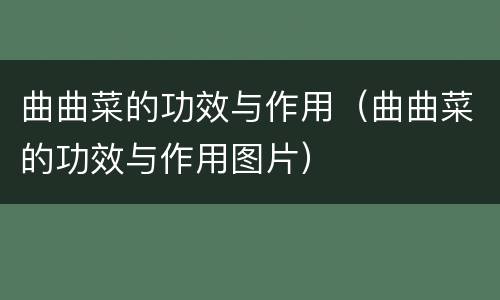 曲曲菜的功效与作用（曲曲菜的功效与作用图片）