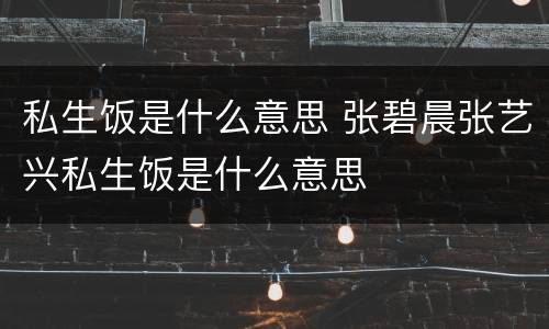 私生饭是什么意思 张碧晨张艺兴私生饭是什么意思