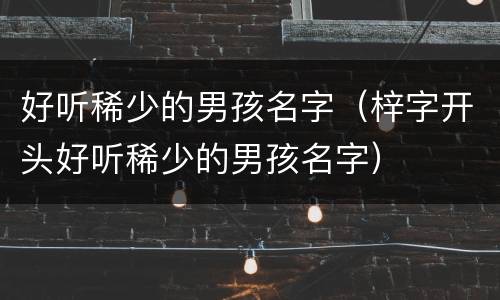好听稀少的男孩名字（梓字开头好听稀少的男孩名字）