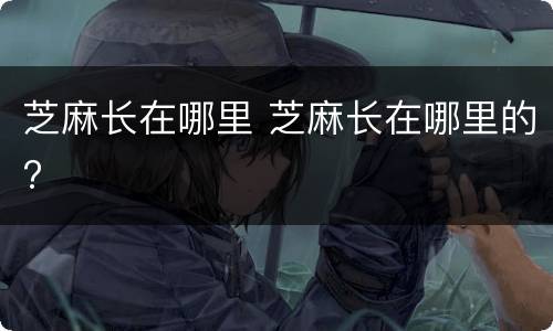 芝麻长在哪里 芝麻长在哪里的?