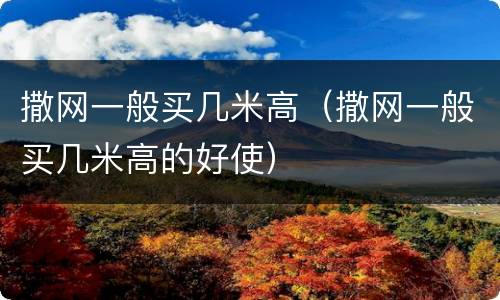 撒网一般买几米高（撒网一般买几米高的好使）