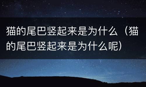 猫的尾巴竖起来是为什么（猫的尾巴竖起来是为什么呢）