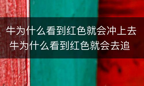 牛为什么看到红色就会冲上去 牛为什么看到红色就会去追
