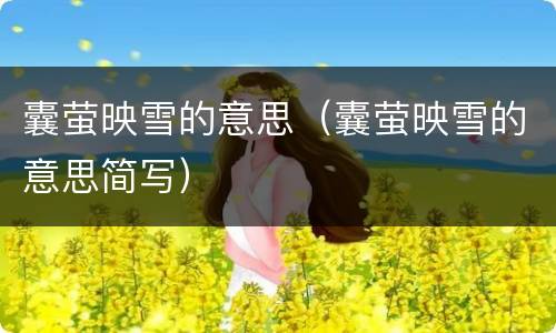 囊萤映雪的意思（囊萤映雪的意思简写）