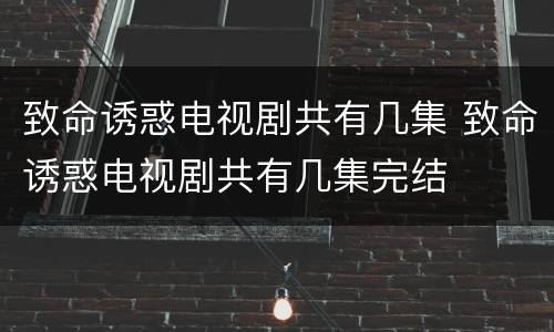 致命诱惑电视剧共有几集 致命诱惑电视剧共有几集完结