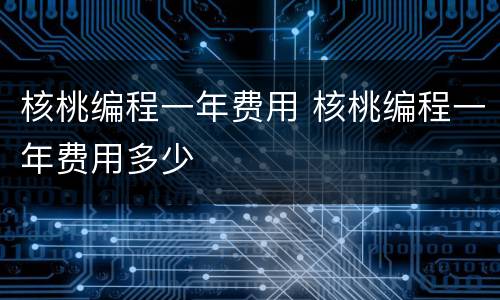 核桃编程一年费用 核桃编程一年费用多少
