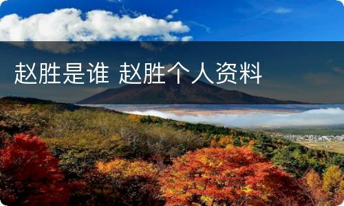 赵胜是谁 赵胜个人资料