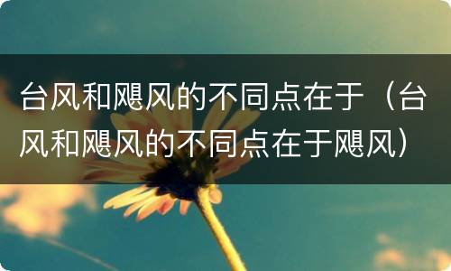 台风和飓风的不同点在于（台风和飓风的不同点在于飓风）