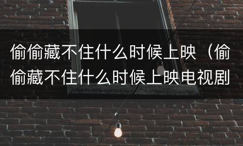 偷偷藏不住什么时候上映（偷偷藏不住什么时候上映电视剧）