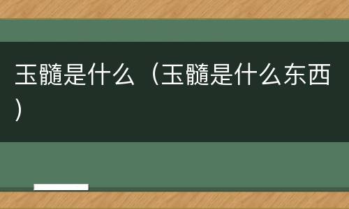 玉髓是什么（玉髓是什么东西）