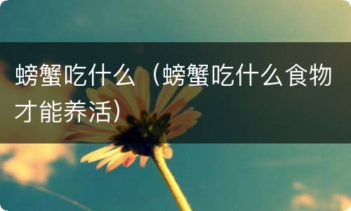 螃蟹吃什么（螃蟹吃什么食物才能养活）